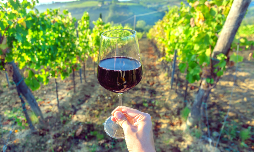 alledune en weekend-in-tuscany-with-wine-tasting 003