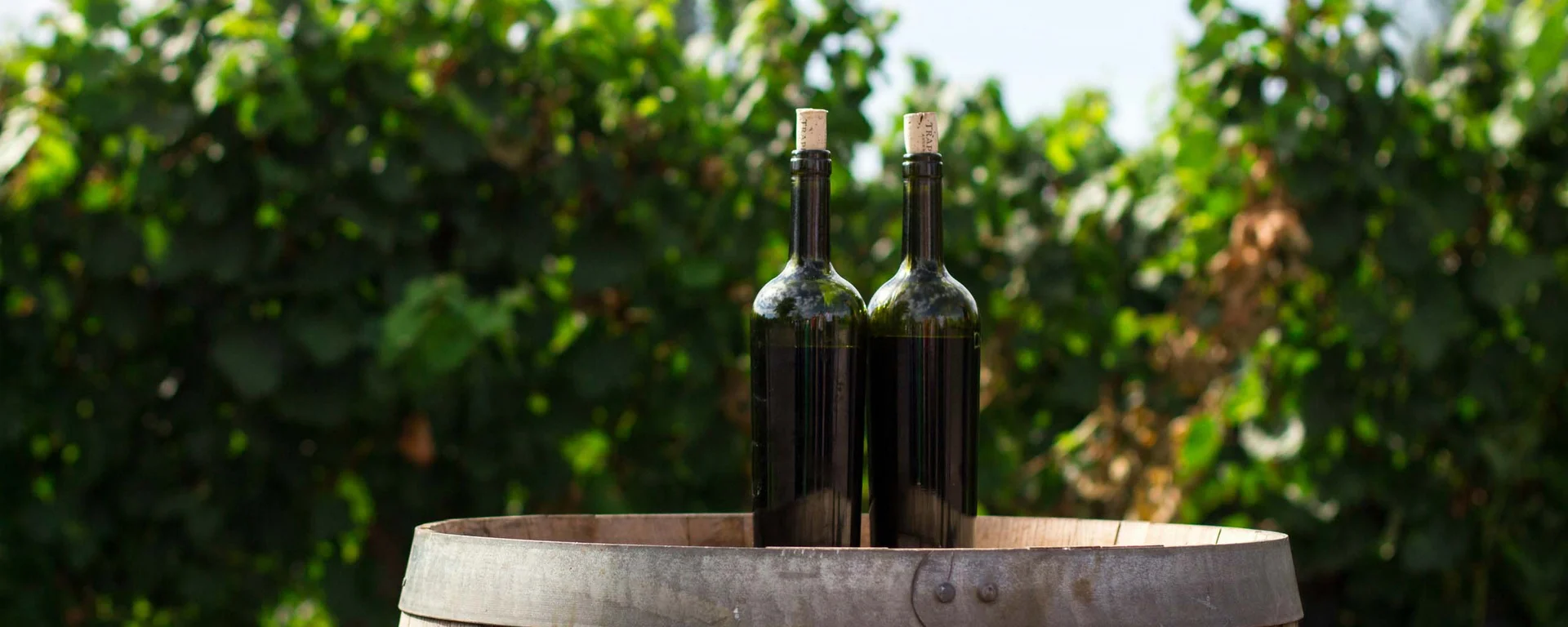 Urlaub in der Toskana an der Costa degli Etruschi: Alle Dune
