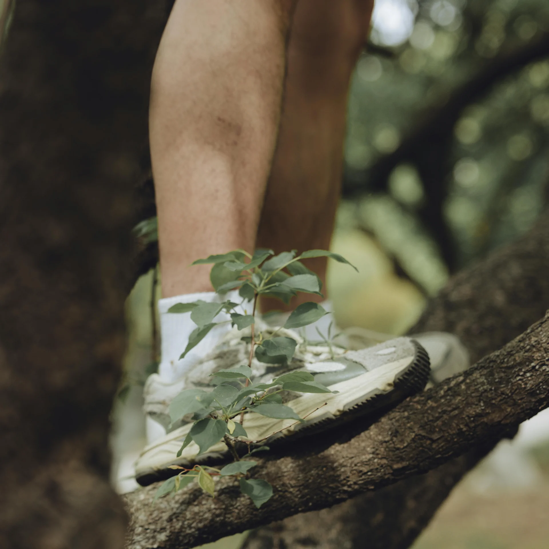 Ihr Wanderurlaub in der Toskana, an der Costa degli Etruschi