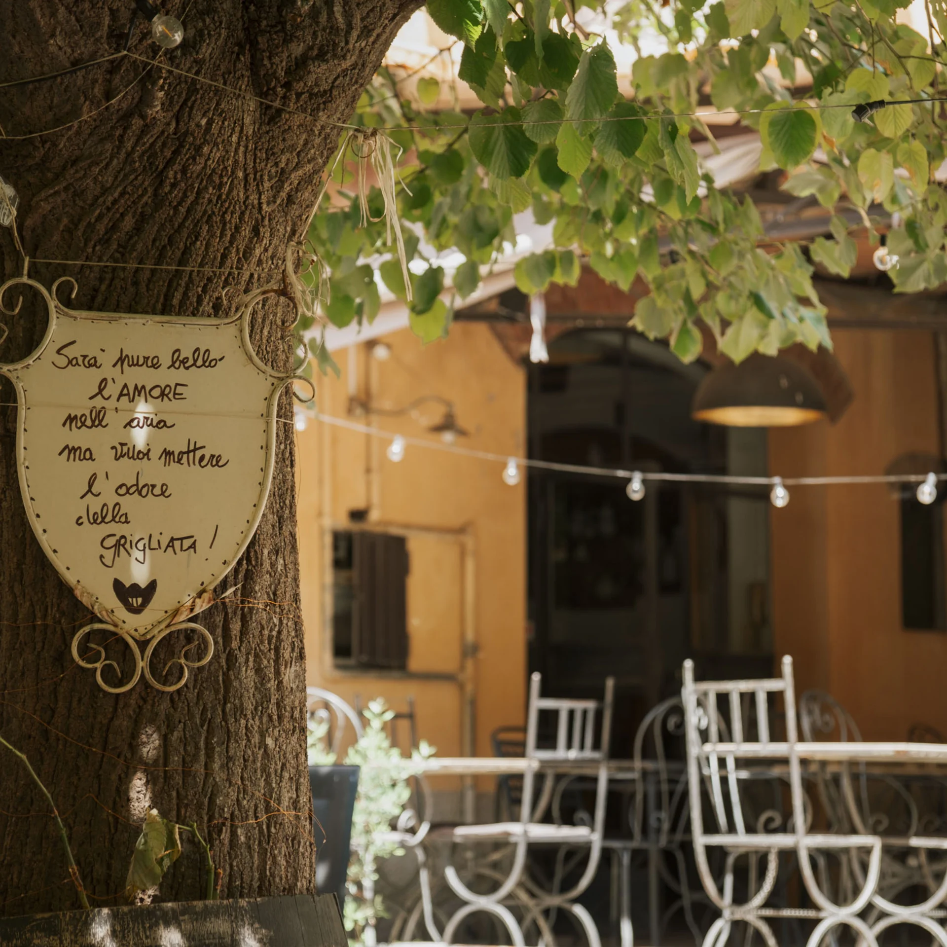 Bilder und Videos aus dem Tuscany Hotel Alle Dune, Toskana