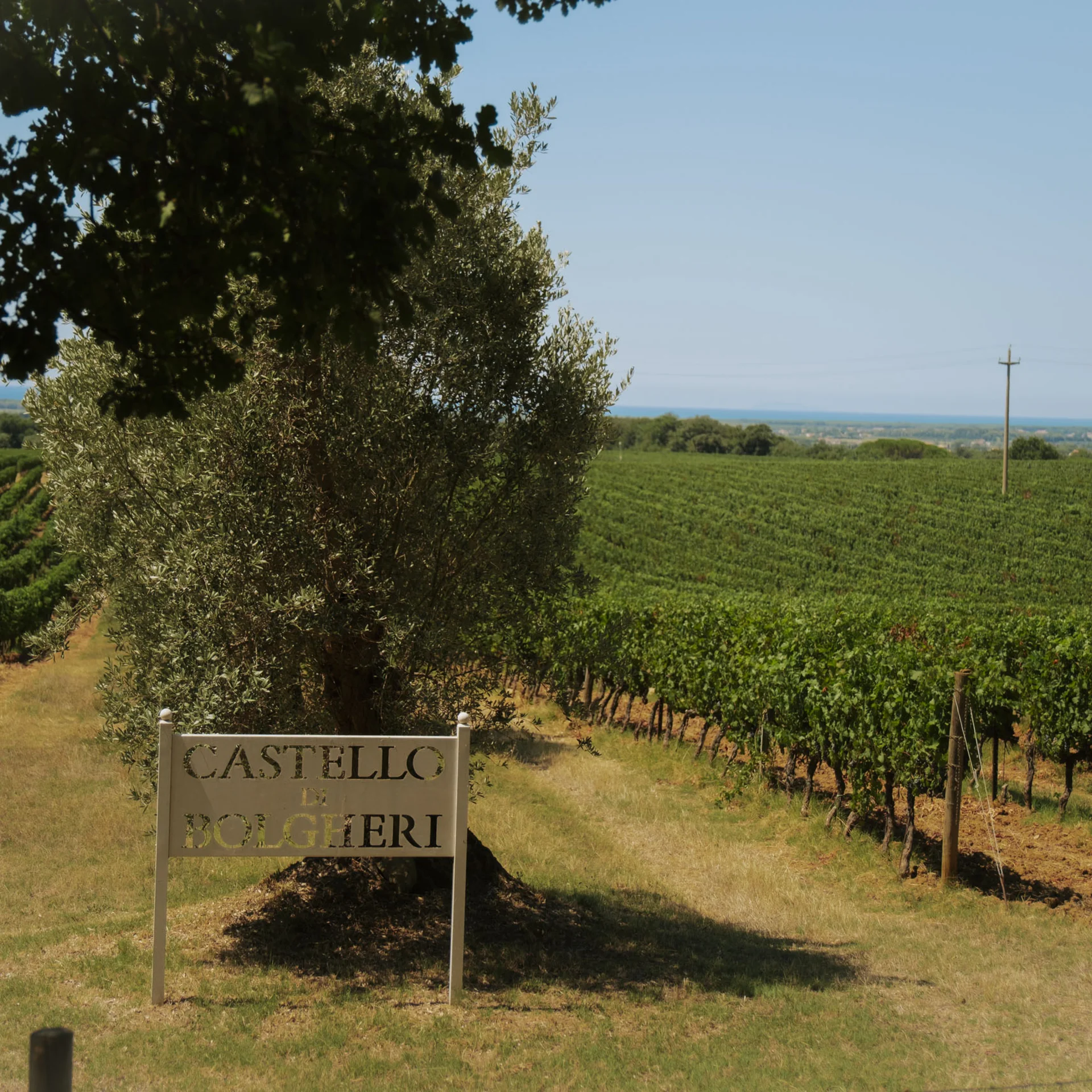 Bilder und Videos aus dem Tuscany Hotel Alle Dune, Toskana