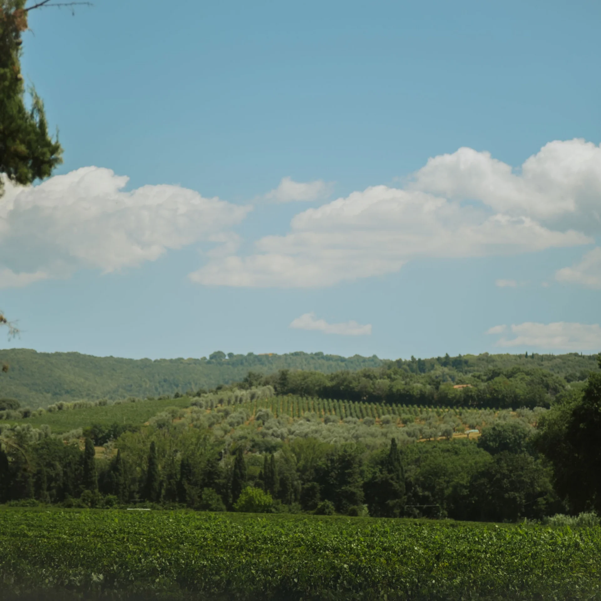 Ihr Wanderurlaub in der Toskana, an der Costa degli Etruschi
