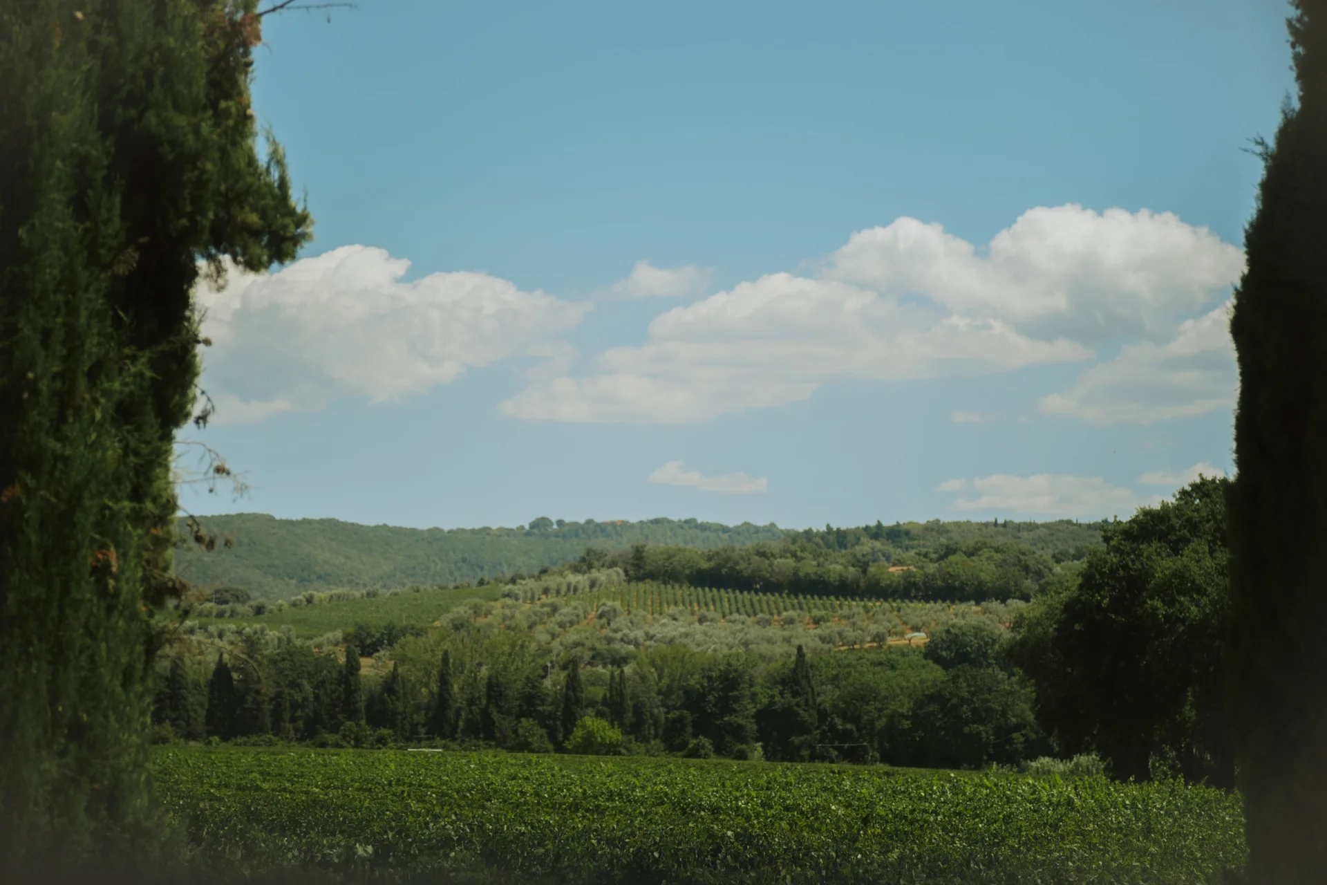 Vacanze al mare in Toscana: la Dolce Vita | Alle Dune