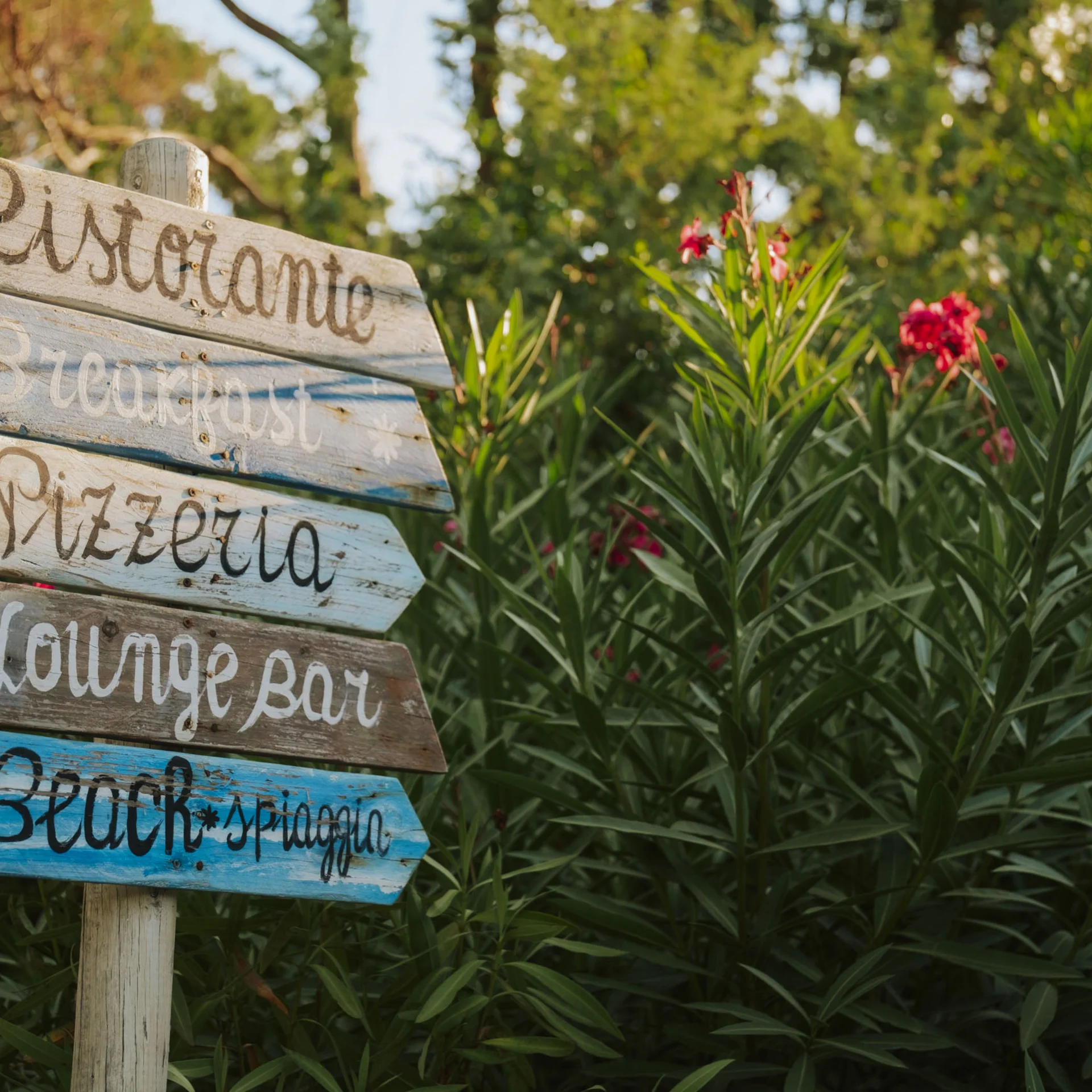 Bilder und Videos aus dem Tuscany Hotel Alle Dune, Toskana