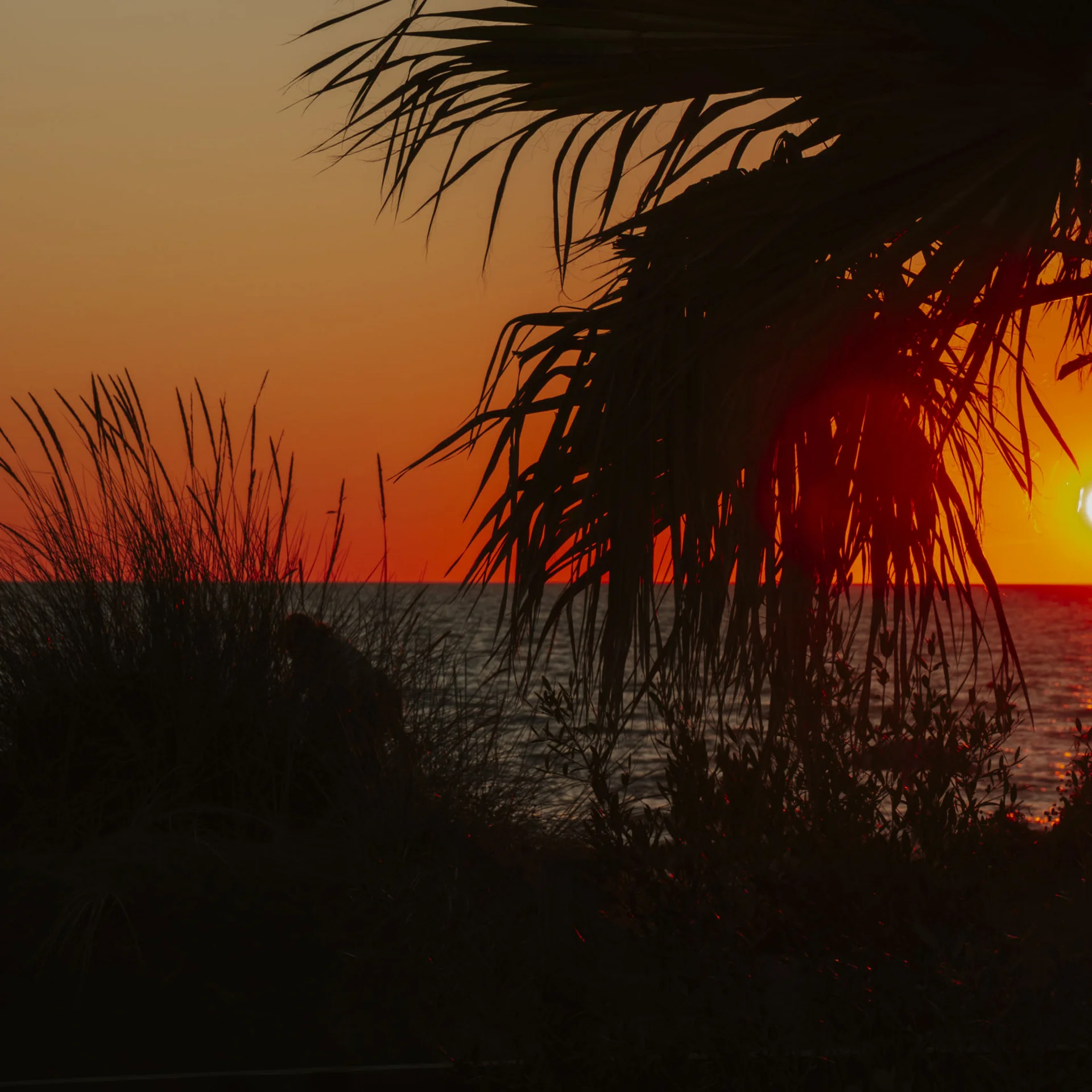 Bilder und Videos aus dem Tuscany Hotel Alle Dune, Toskana