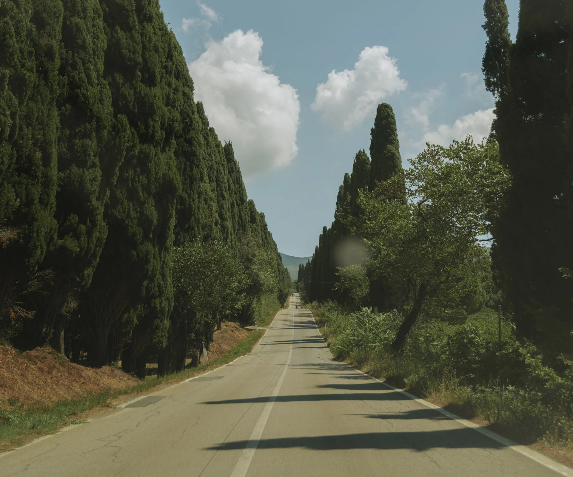 Urlaub in der Toskana an der Costa degli Etruschi: Alle Dune