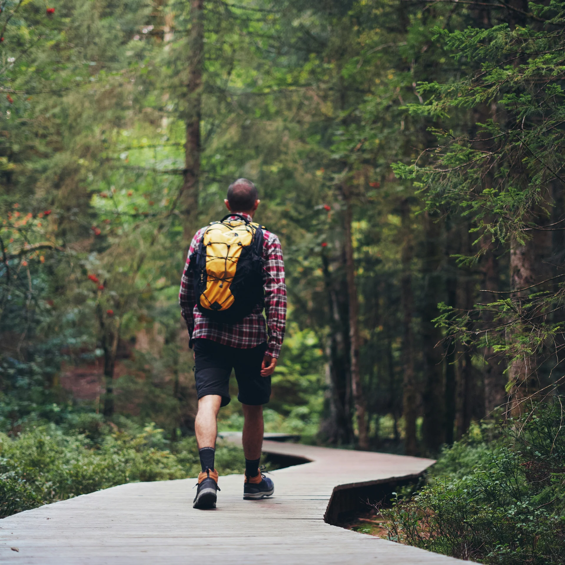 Ihr Wanderurlaub in der Toskana, an der Costa degli Etruschi