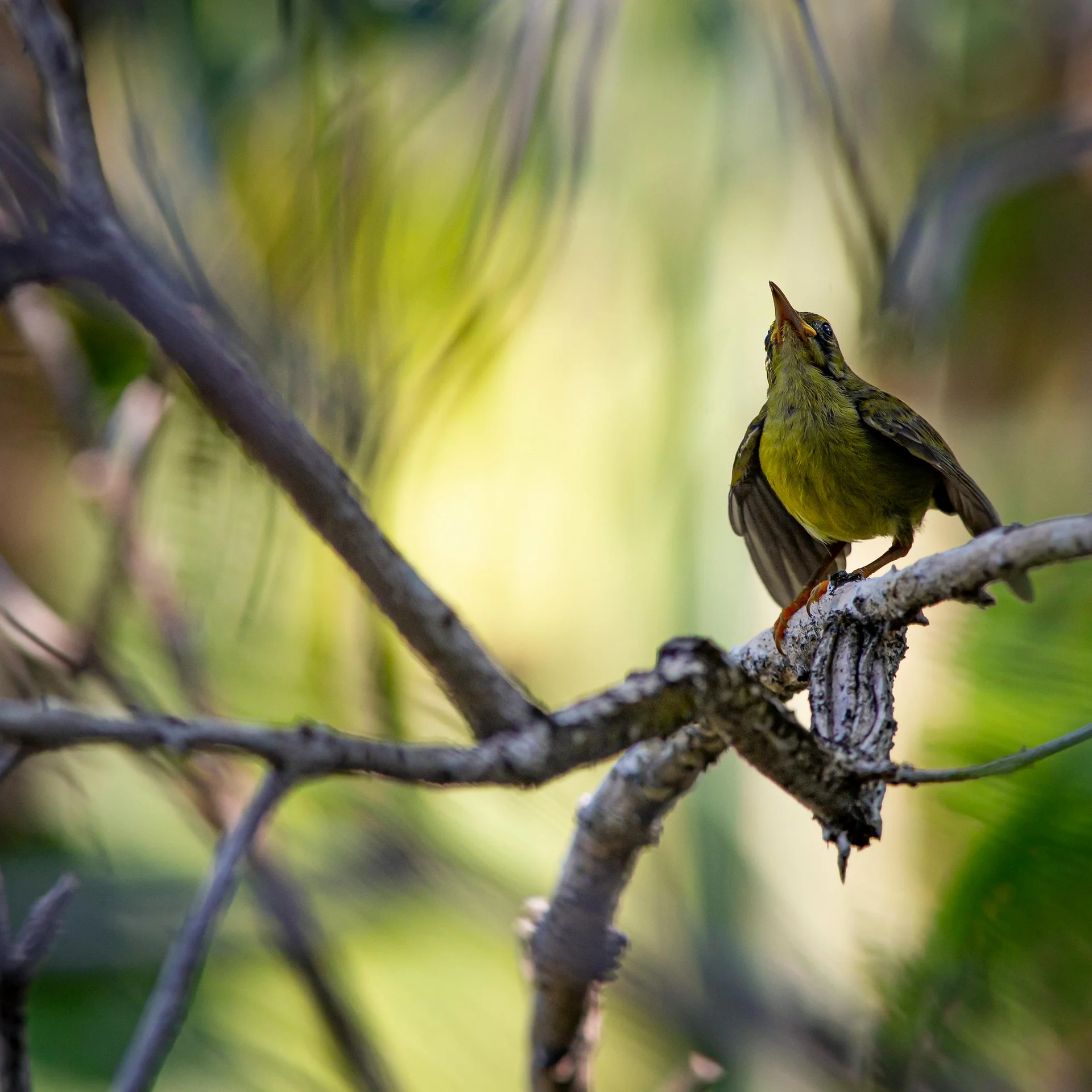 Ihr Wanderurlaub in der Toskana, an der Costa degli Etruschi