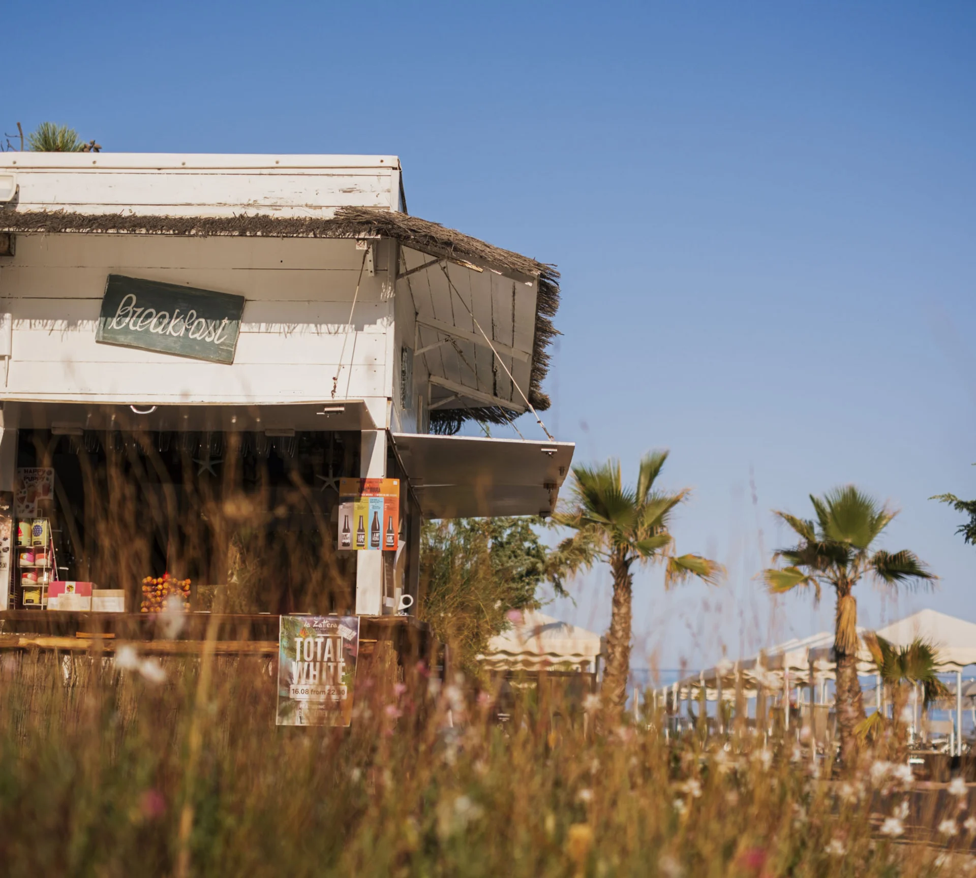 Hotel am Strand in der Toskana: Wir sehen uns im Alle Dune!
