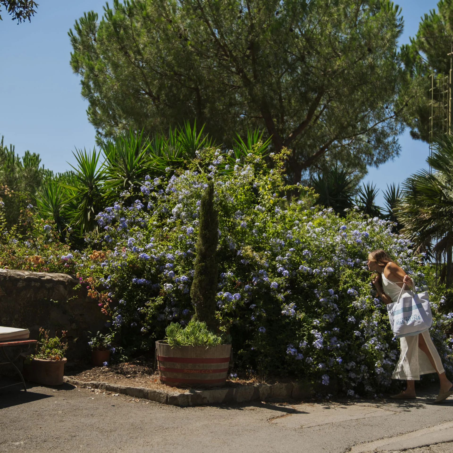 Bilder und Videos aus dem Tuscany Hotel Alle Dune, Toskana