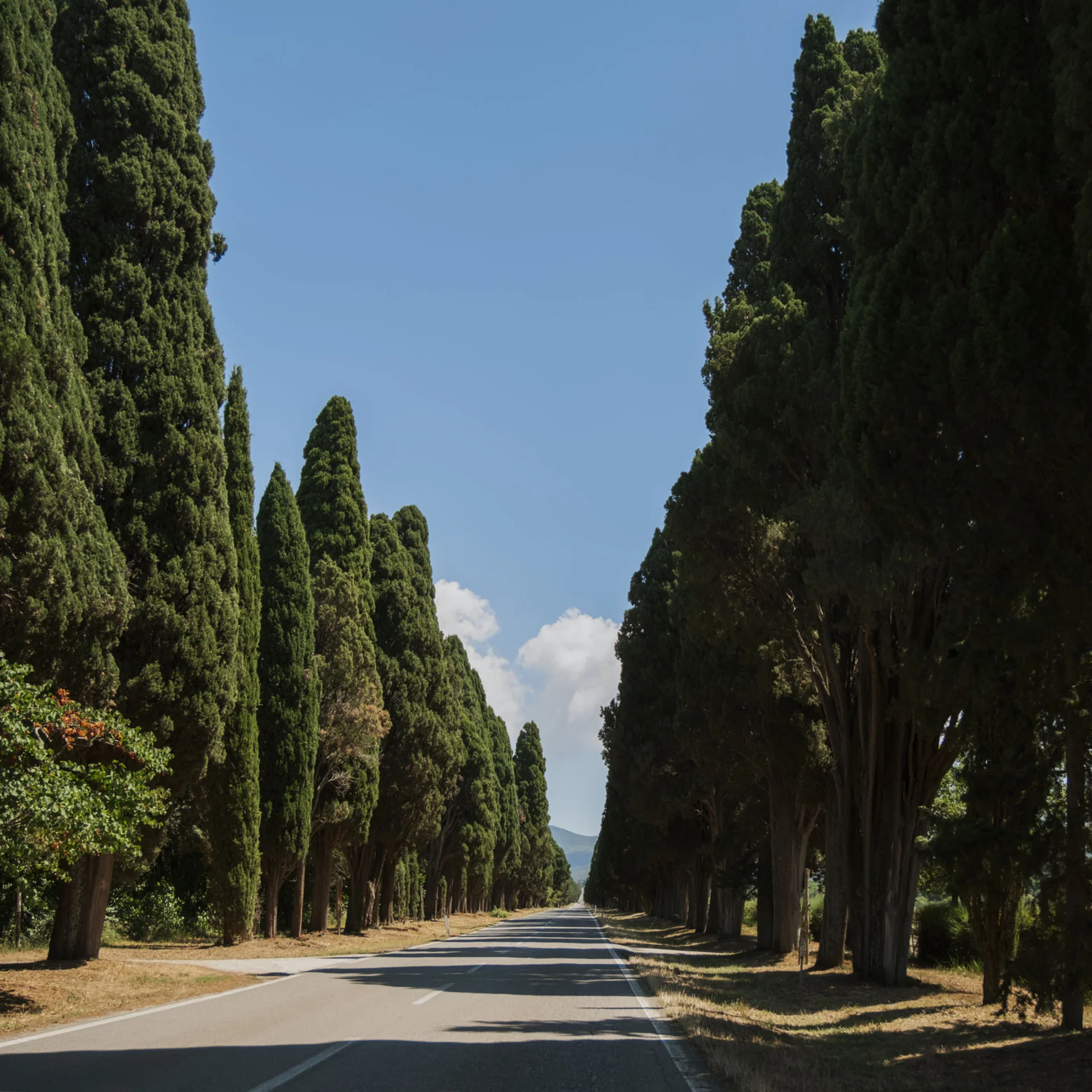 Bilder und Videos aus dem Tuscany Hotel Alle Dune, Toskana