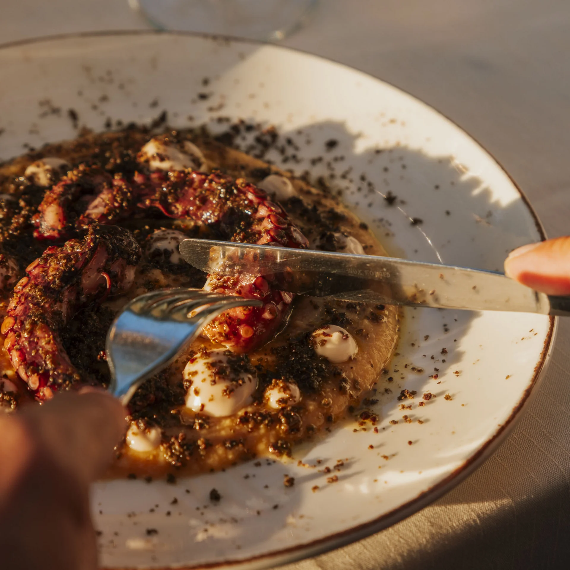 Unser Restaurant nahe Castagneto Carducci | AcaciAmare