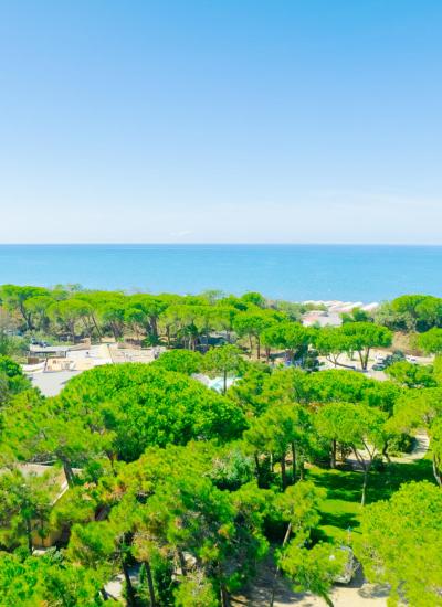 alledune de privatstrand 010