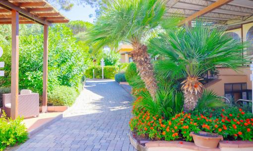 alledune en end-of-august-offer-in-tuscany-in-hotel-with-pool-and-private-beach 004