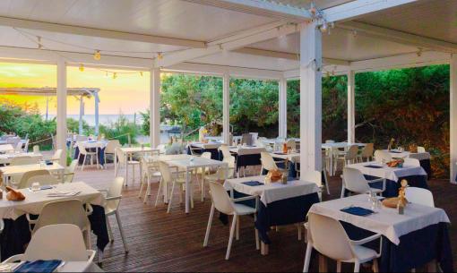 alledune en special-latest-availability-july-14-discount 007
