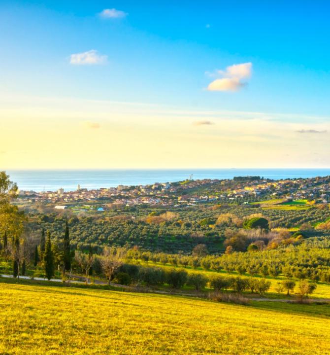 alledune en marina-surroundings 004